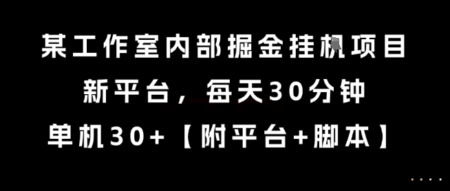某工作室内部掘金挂G项目，新平台，每天30分钟，单机30+【揭秘】资源站资源站