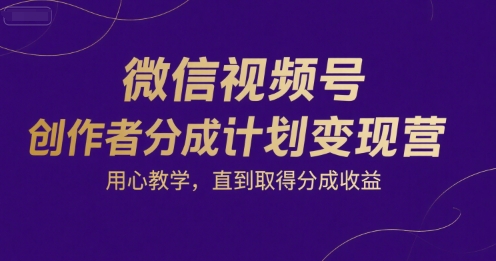 微信视频号创作者分成计划变现营，用心教学，直到取得分成收益资源站资源站