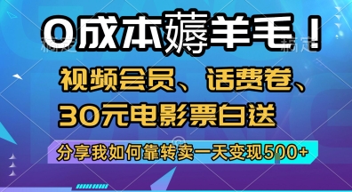 0成本薅羊毛!视频会员、话费卷、30元电影票白送，分享我如何靠转卖一天变现5张+【揭秘】资源站资源站