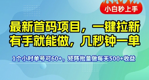 最新首码项目，一键拉新有手就能做，几秒钟一单，1个小时单号可60+，矩阵批量做每天5张【揭秘】资源站资源站
