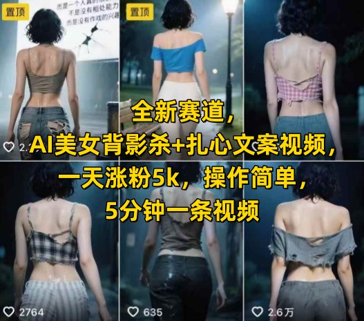 全新赛道，AI美女背影杀+扎心文案视频，一天涨粉5k，操作简单，5分钟一条视频资源站资源站