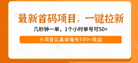 最新首码项目，操作最简单，收益高，一键拉新，1个小时单号可50+，小项目认真做每天5张+收益【揭秘】资源站资源站