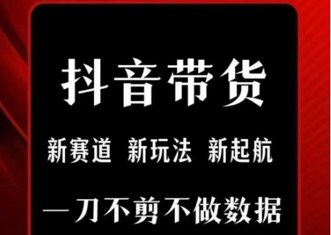 抖音短视频一刀不剪带货，不剪辑，不直播，每天发个视频，等着出单获取带货佣金资源站资源站