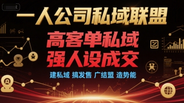 一人公司私域联盟，高客单私域，强人设成交，建私域 搞发售 广结盟 造势能资源站资源站