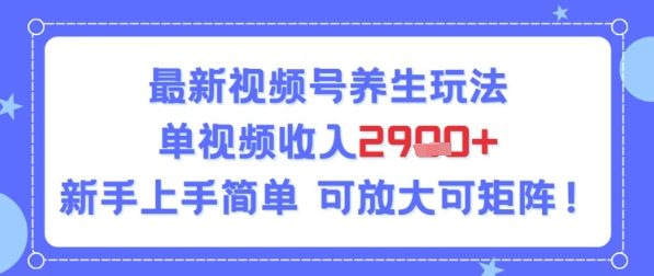 视频号养生玩法，单视频收入2.9k，新手上手简单资源站资源站